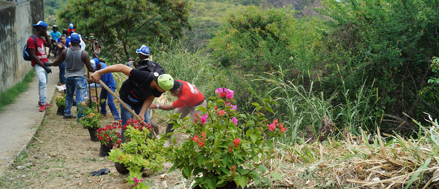 Servicio Social Jardín Botánico
