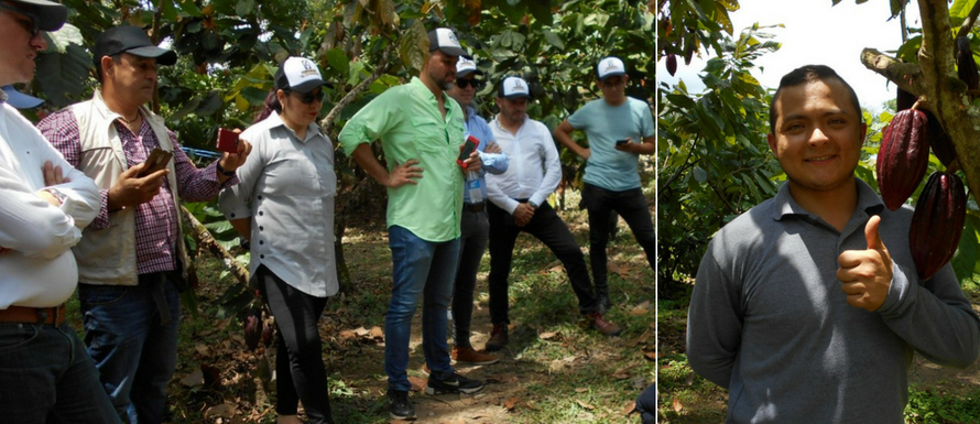 Entorno productivo de Cacao