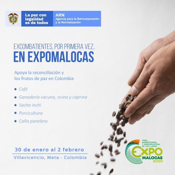 expomalocas_.jpg