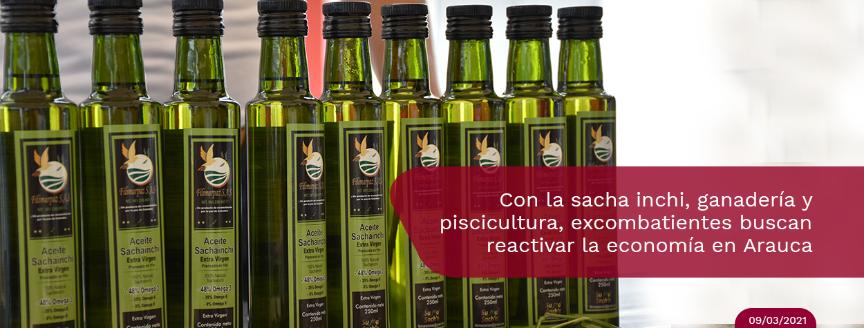 Con-la-sacha-inchi-ganaderia-.jpg