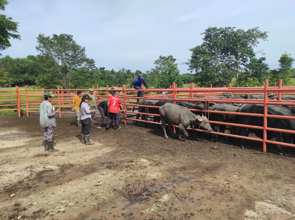 Excombatientes en Catatumbo se capacitan en contabilidad para potencializar proyectos productivos