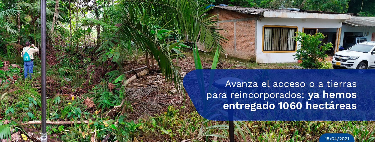Gobierno entrega más de 1.000 hectáreas de tierra para la reincorporación