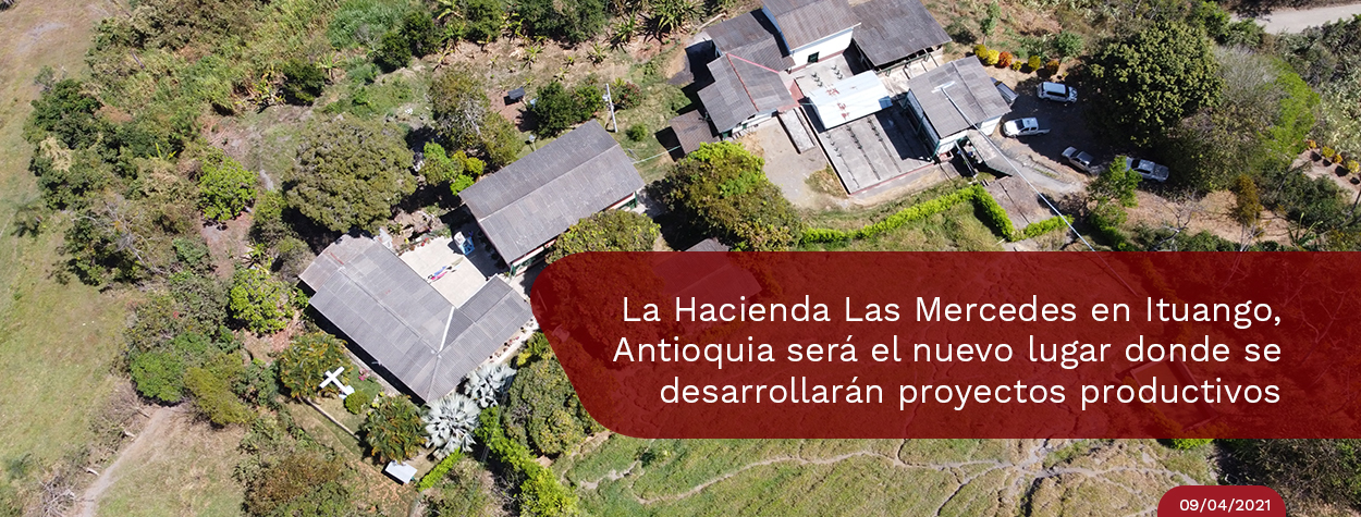 Hasta 30 cargas de café al día, podrán producir excombatientes en Ituango, Antioquia