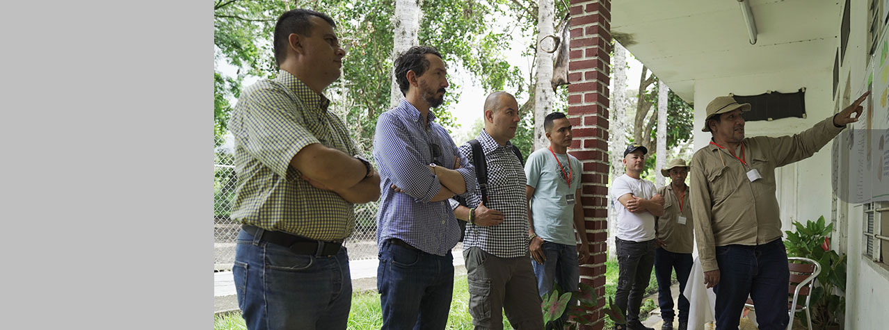 Foto de personas observando a un señor que está haciendo una explicación mostrando unas carteleras puestas en la pared