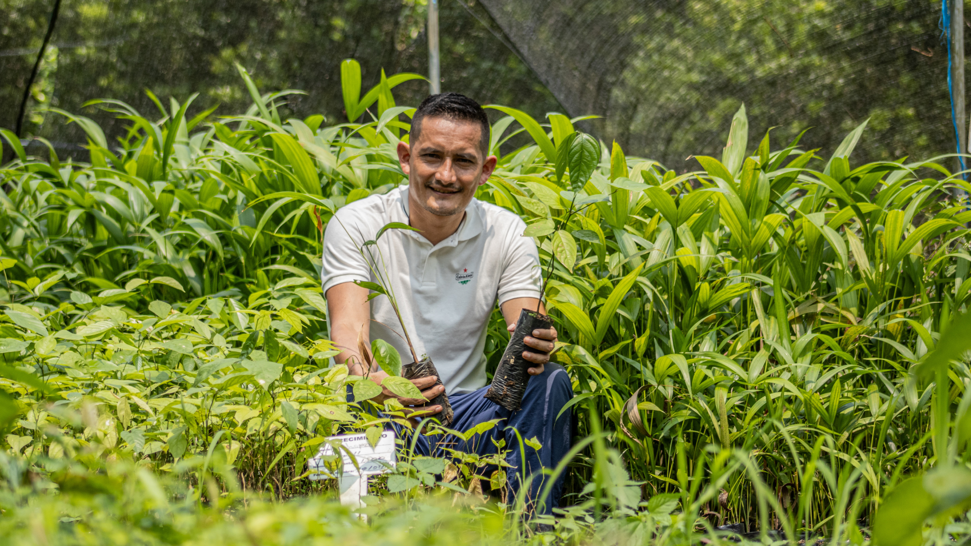 hombre con plantas sentado en la mitad de un vivero