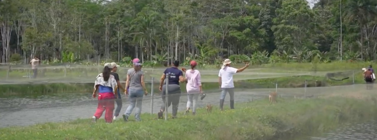 Grupo de personas caminando por un sendero