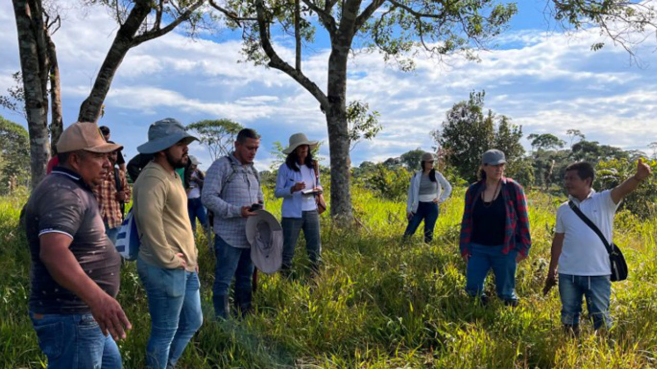 Firmantes de paz recorren un predio rural destinado al fortalecimiento de proyectos productivos en Putumayo