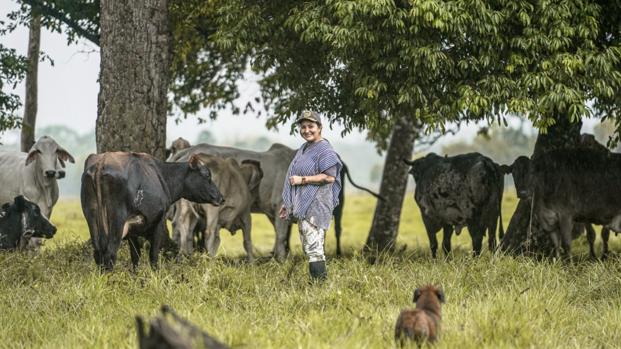 Mujer firmante de paz proyecto ganadero ARN, día de la mujer.