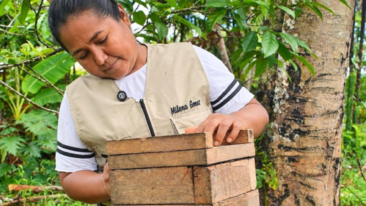 Firmante de paz inspecciona colmena de abejas nativas en Putumayo