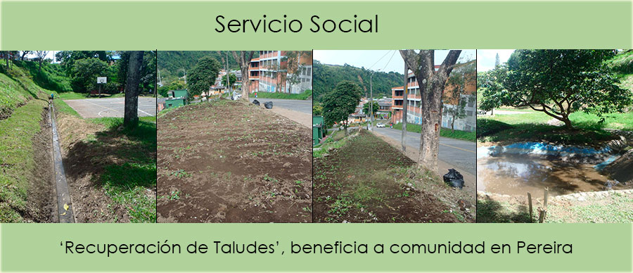 PERSONAS EN PROCESO DE REINTEGRACIÓN EMBELLECEN ESPACIOS PÚBLICOS EN PEREIRA. FOTOS: ACR L COMUNICACIONES