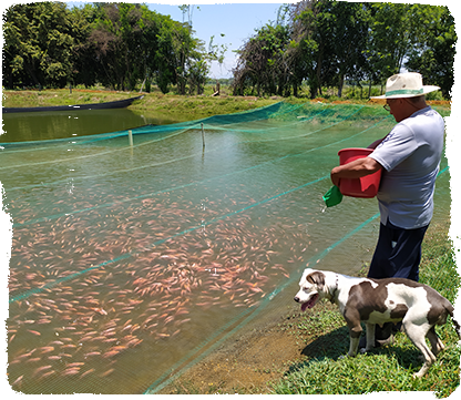 INTERACTIVE FARM - LA VACA LOLA
